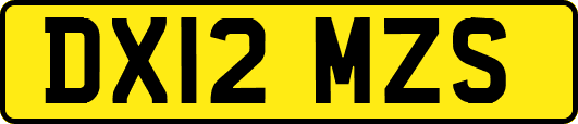 DX12MZS