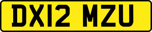 DX12MZU