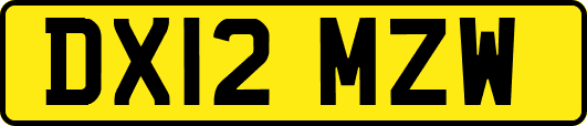 DX12MZW