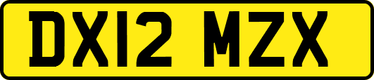 DX12MZX