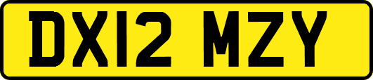 DX12MZY