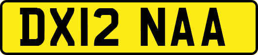 DX12NAA
