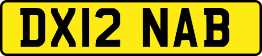 DX12NAB