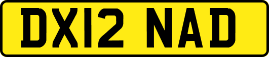 DX12NAD