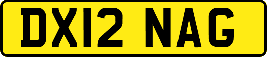 DX12NAG