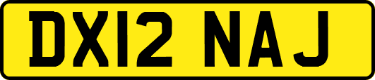 DX12NAJ