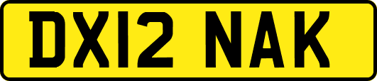 DX12NAK