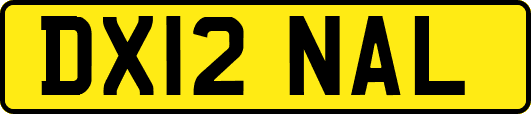 DX12NAL