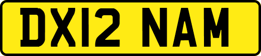 DX12NAM