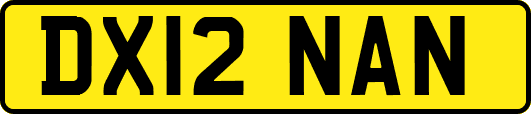 DX12NAN