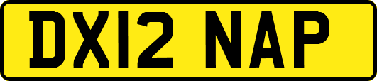 DX12NAP