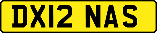 DX12NAS