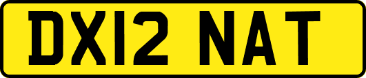 DX12NAT
