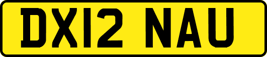 DX12NAU