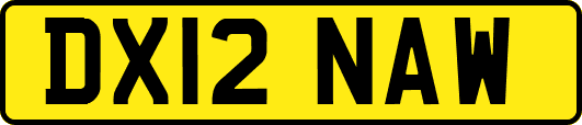 DX12NAW