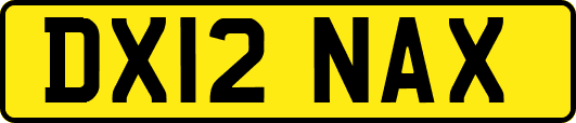 DX12NAX
