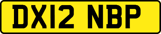 DX12NBP