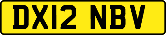 DX12NBV