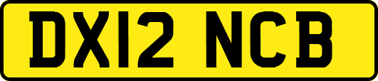 DX12NCB