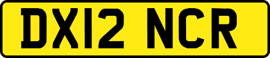 DX12NCR
