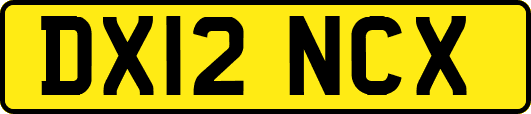 DX12NCX
