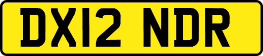 DX12NDR
