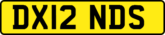 DX12NDS