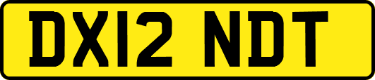 DX12NDT