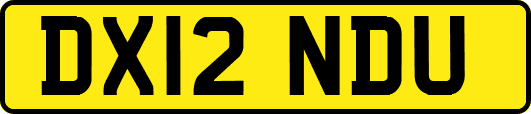 DX12NDU