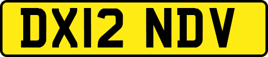 DX12NDV
