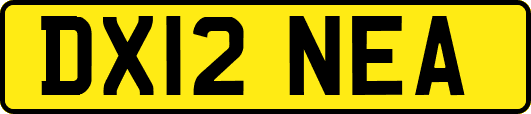 DX12NEA