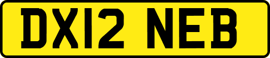 DX12NEB