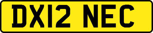DX12NEC