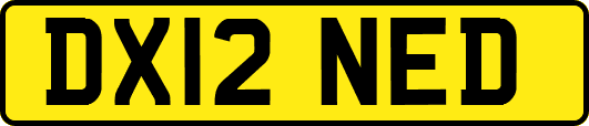 DX12NED