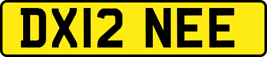 DX12NEE