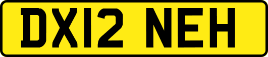 DX12NEH
