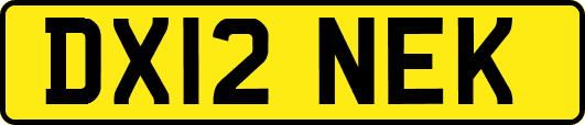 DX12NEK