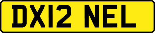 DX12NEL
