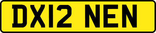DX12NEN