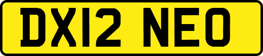 DX12NEO