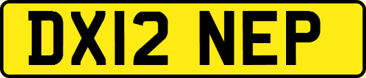 DX12NEP