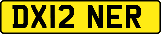 DX12NER