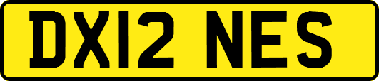 DX12NES