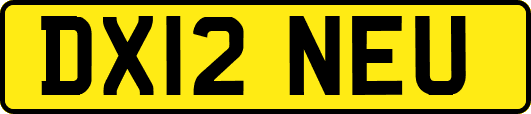 DX12NEU