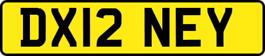 DX12NEY