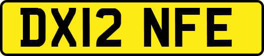 DX12NFE