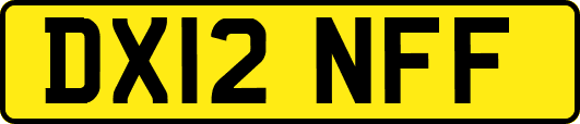 DX12NFF