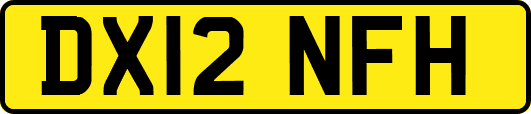DX12NFH
