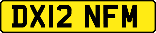 DX12NFM