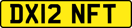 DX12NFT